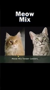 Meow Mix TV Ad