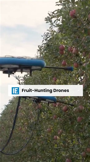 68K views · 373 reactions | Flying autonomous robots make the perfect fruit pickers. | Interesting Engineering | Facebook