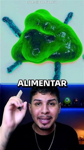 HOW TOOTH DECAY DEVELOPS!