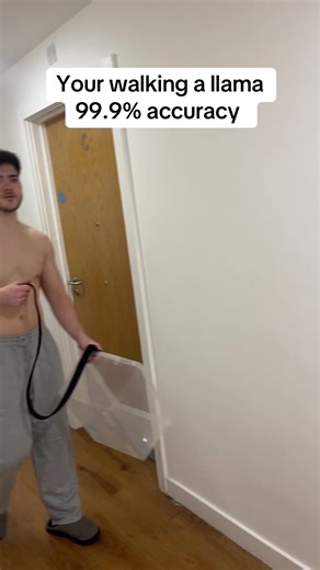 Encountering a Llama in Australia: Hilarious Moments