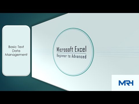 Basic Text Data Management | MS Excel (Full Course) | MS Excel chapter-1 | Class-3