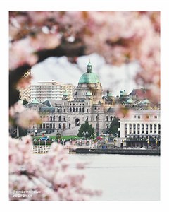 94K views · 1K reactions | See the province through fresh eyes when you travel in BC this spring. Where will your journey take you? | Super, Natural British Columbia | Facebook