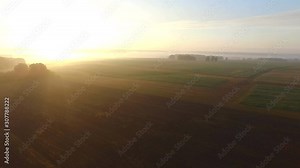 the meadow and the sun rises from behind the trees morning flight bird view of the forest and the meadow