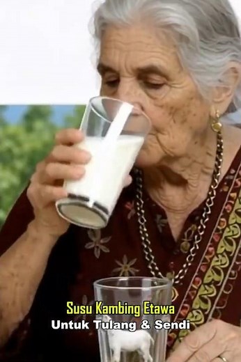 Minum Susu Kambing Etawa Untuk Tulang & Sendi #susukambing #susu #kambing #short #shorts #sapi