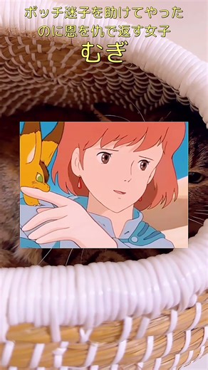 アニメと現実の違いを探る最終回