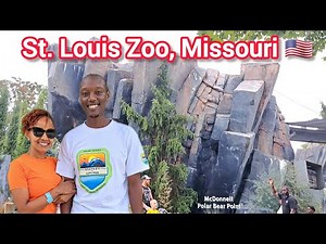 Unforgettable Encounters // Exploring the St. Louis Zoo