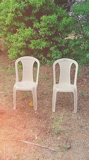 @Ragav Vj (@ragav_vj96)’s videos with Memories (Drinks Bring Back) - Ajay Stephens