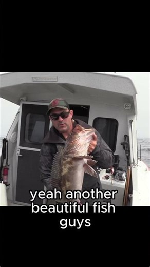 LINGCOD FISH - perfect eating size!