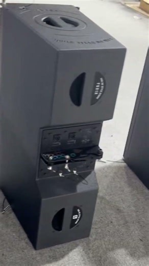 Double 12 inch two way line array #fanaudio #speaker #prosound