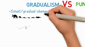 Process of Evolution _ Gradualism vs Punctuated Equilibrium vs Catastrophism