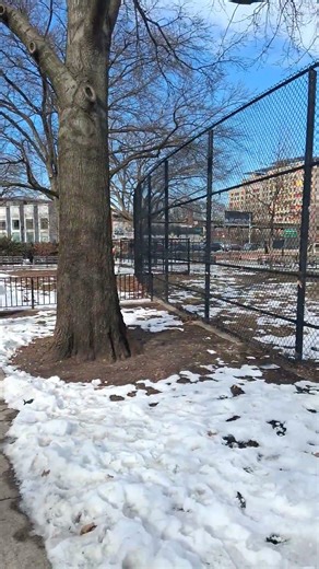 NYC soundview park weschester bronx