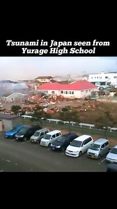 240K views · 4.4K reactions | #makeup #football #activity #comedy #alien #animal #bird #funny #fishing #drawing #animation #cat #dog #pets #food #yummy #horse #cartoon #gamer #car #pig #beauty #nfl #fun #art #animals #nature #love #fish #catsofinstagram | Natural Disaster | Facebook