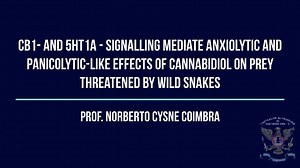 CB1- and 5HT1A - Signalling Mediate Anxiolytic...