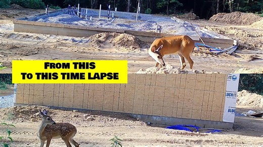 Time-Lapse Rustic Cabin Build — Walls Are Up!