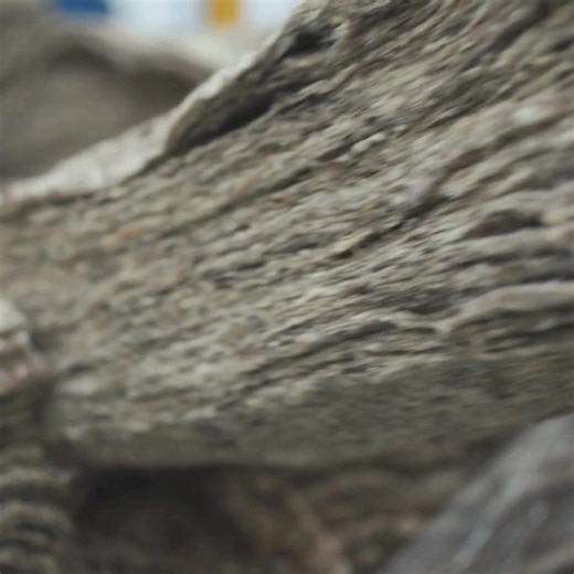 1.6K views · 19 reactions | Did you know? Wool doesn’t just return...