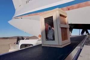 Russia Gifts Zoo Animals to North Korea