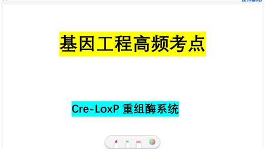 cre-loxp重组酶系统