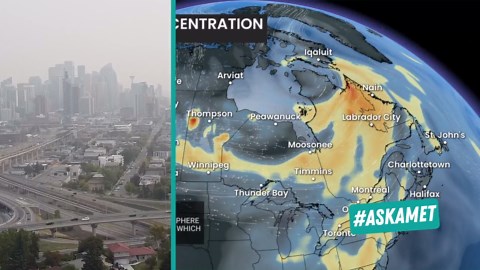 Air quality statement or warning, what's the difference?