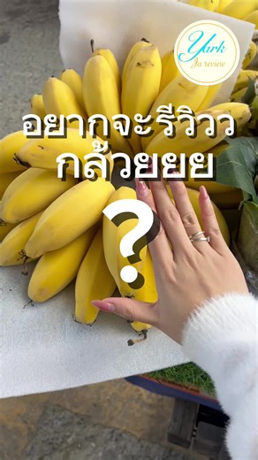 กล้วยจีน: ความใหญ่และรสชาติที่น่าทดลอง