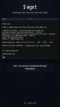 wget: download files from the terminal