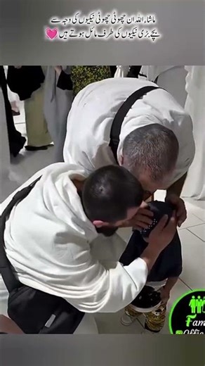 The Little Chick Is Tired 🐥