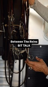10K views · 578 reactions | Between The Reins Bit Talk is back with another Carolina bit! Have you tried it or do you plan to? #betweenthereins #barrelracing #horsetraining | Between The Reins | Facebook
