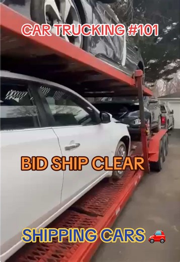 Understanding RORO Shipping for Cars and Trucks