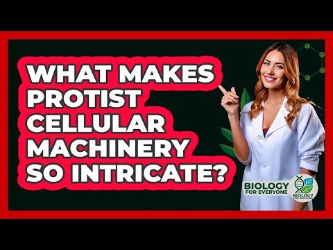 What Makes Protist Cellular Machinery So Intricate? - Biology For Everyone
