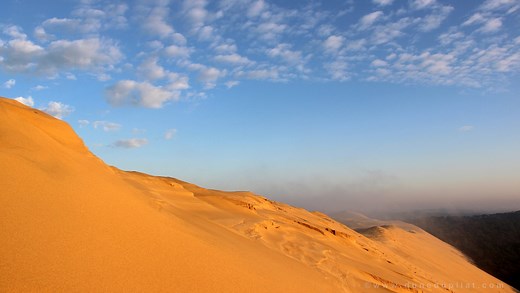 Bienvenue à la dune