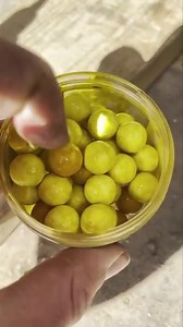 Topping up the spring wangers! Pineapple 🍍 Supreme and Northern pluses - a winning combo. Not only do these pops suck up the Goo, they also stay extremely buoyant once prepped so enable me to continue using rigs such as spinners effectively and confidently. @kordaofficial @ccmooreuk - - - #angling #anglinguk #carpangling #korda #carpy #angling #ccmoore #carpwatch #vass #anglerup #deeper #carpparticlesuk #fishbrain #carpfishingspain #karpfenangeln #willyworms #fishingtipsandtricks #cypography #b