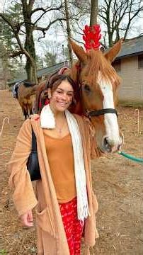 EQUESTRIAN CHRISTMAS AT THE STABLES #equestrian #christmas #horse