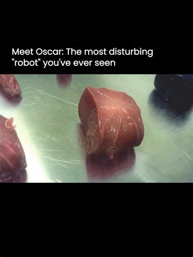 AI has officially blurred the line between biology and technology. Real researchers are already experimenting with bio-hybrid robotics, lab-grown tissues, and living systems that regenerate and adapt in ways traditional machines never could. The result looks so real you might actually believe these future robots won’t be built… but grown. It’s fascinating, unsettling, and mind-bending all at once. Are organic robots the future — or a line we’re not ready to cross? 👀💬 Join the fastest-growing A