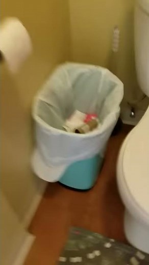 Now watch me poop in the toilet