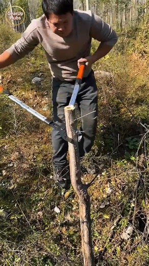 Powerful Tree Cutter Machine in Action! 🌳⚡ #shorts