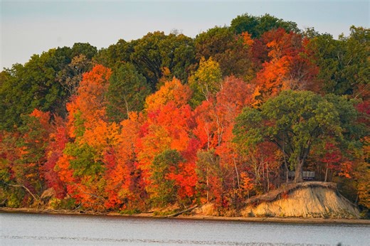 Fall foliage: Leaf colors at their peak in NE Ohio this week?
