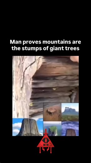 Conspiracy Page on Instagram: "Mountains might not be mountains at all. Some researchers believe they’re the petrified stumps of trees that once scraped the sky. If that were true, Earth would be the skeleton of an older world, one where “giants” weren’t legends but memories carved into stone. Theories like this never make it into the official books. But one book dares to cross that forbidden line between history, myth, and human awareness. If you want to see what Know the Only Truth reveals, it