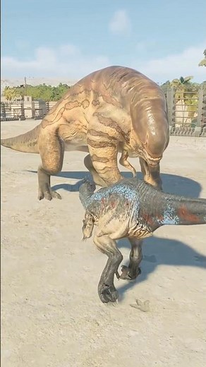 Jurassic World Evolution 3 Megaraptor vs D•Rex #jurassicworld #jurassicworldevolution3 #shorts