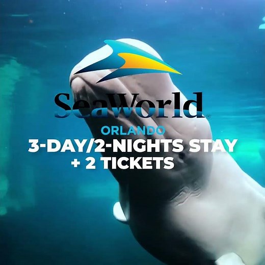 Get READY for SeaWorld Tickets and Hotel Stay Packages!