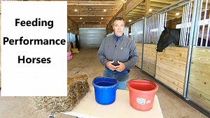 11K views · 452 reactions | My performance horses need a specialized diet. I show you what I feed them. I show you my feed program for my horses. I go over why I feed what I do and how much it costs. | Tim Anderson Horse Training | Facebook