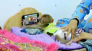 Jessi Relax To Watch BB's Videos On YouTube Before Bed | Monkey Jessi