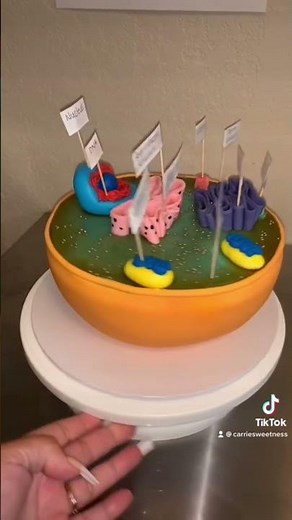 Biology 🧪 3-D Animal Cell Cake