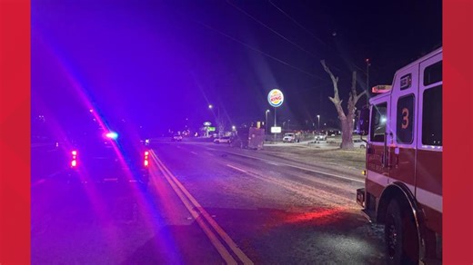 1 dead in fatal Palestine pedestrian crash involving UPS truck