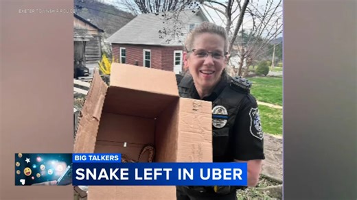 Uber driver finds snake left by passenger in his car