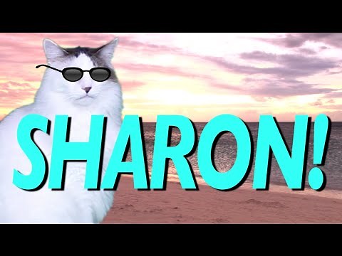 HAPPY BIRTHDAY SHARON! - EPIC CAT Happy Birthday Song