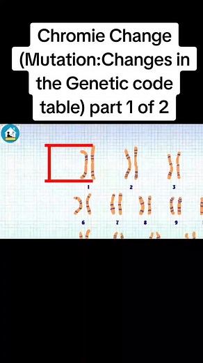 Exploring Chromie Change: Understanding Genetic Mutation