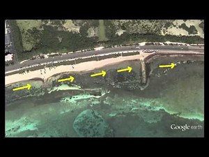 Beach Morphodynamics