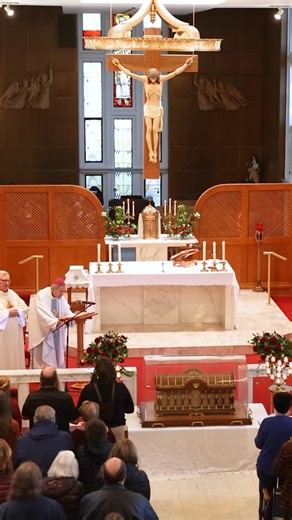 118 reactions · 12 shares | Faithful venerated relics of St. Thérèse of Lisieux on Monday, Nov. 10, at St. Agnes Home in Kirkwood. The relics will be at the Carmel of St. Joseph in Ladue on Nov. 11 and 12 and Little Flower Church in Richmond Heights on Nov. 13. Full story: https://www.stlouisreview.com/story/faithful-flock-to-the-little-flower-as-relics-stop-in-st-louis/ : @jacobwiegand | St. Louis Review | Facebook