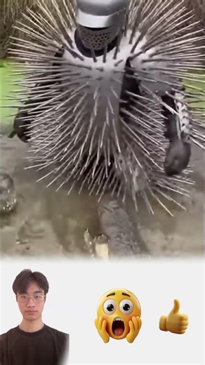 This is the bravest challenge I've ever seen; would you dare to try it? || AI Cinematic Wildlife