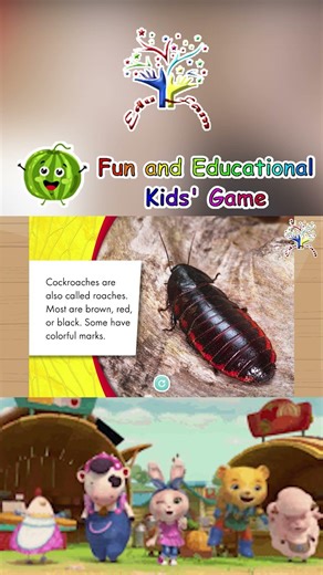 🪳🏃 Speedy Cockroaches! | Meet the Fast Crawlers! | Animal Safari ✨