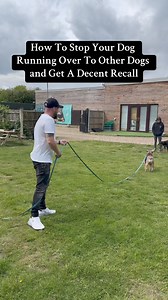 How To Stop Your Dog Running Over To Other Dogs. Best long lines are biothane or lunge lines used for horses. | Southend Dog Training